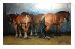 Horses - Heavy Horses - Chertsey Show, 2012 by Jennifer Wright