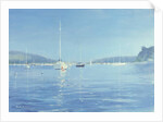 Salcombe Yachts - Summer Heat, 2008 by Jennifer Wright