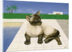 Siamese cat by a swimming pool by Joan Freestone