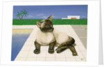 Siamese cat by a swimming pool by Joan Freestone