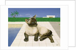 Siamese cat by a swimming pool by Joan Freestone