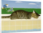 Tabby cat by a pool by Joan Freestone