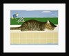 Tabby cat by a pool by Joan Freestone