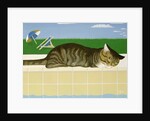 Tabby cat by a pool by Joan Freestone