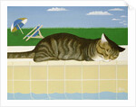Tabby cat by a pool by Joan Freestone