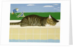Tabby cat by a pool by Joan Freestone