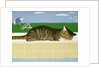 Tabby cat by a pool by Joan Freestone