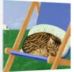 Tabby cat asleep in a deck chair by Joan Freestone