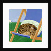 Tabby cat asleep in a deck chair by Joan Freestone
