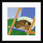 Tabby cat asleep in a deck chair by Joan Freestone