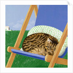 Tabby cat asleep in a deck chair by Joan Freestone