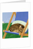 Tabby cat asleep in a deck chair by Joan Freestone