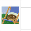 Tabby cat asleep in a deck chair by Joan Freestone