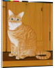 Marmalade cat by a door by Joan Freestone