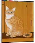 Marmalade cat by a door by Joan Freestone