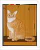 Marmalade cat by a door by Joan Freestone
