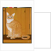 Marmalade cat by a door by Joan Freestone