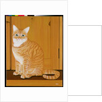 Marmalade cat by a door by Joan Freestone