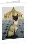 Siamese by Joan Freestone