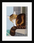 Cat on a Window Sill by Joan Freestone