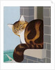 Cat on a Window Sill by Joan Freestone
