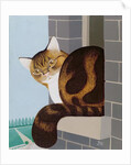 Cat on a Window Sill by Joan Freestone