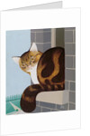Cat on a Window Sill by Joan Freestone
