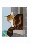 Cat on a Window Sill by Joan Freestone