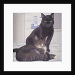 Stray and Daisie in the Kitchen by Joan Freestone