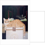 Mango with Molyneux by Joan Freestone