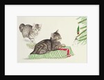 Two Kittens by Joan Freestone
