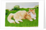 Ginger Cat in Field by Joan Freestone