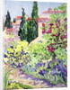 Garden at Vaison by Julia Gibson