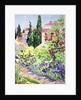 Garden at Vaison by Julia Gibson
