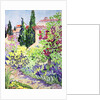 Garden at Vaison by Julia Gibson