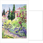Garden at Vaison by Julia Gibson