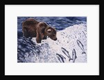 Alaskan Brown Bear, 2002 by Joe Heaps Nelson