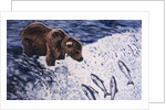 Alaskan Brown Bear, 2002 by Joe Heaps Nelson