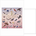 Do You Know Your State Bird?, 1996 by Joe Heaps Nelson