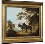 Two Donkeys in a Landscape by Benjamin Zobel