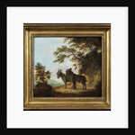 Two Donkeys in a Landscape by Benjamin Zobel