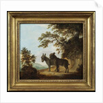 Two Donkeys in a Landscape by Benjamin Zobel