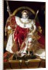 Napoleon I on the Imperial Throne, 1806 by Jean Auguste Dominique Ingres