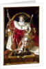 Napoleon I on the Imperial Throne, 1806 by Jean Auguste Dominique Ingres