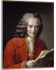Portrait of Voltaire holding L'Annee Litteraire by Freron by Jacques Augustin Catherine Pajou