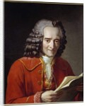 Portrait of Voltaire holding L'Annee Litteraire by Freron by Jacques Augustin Catherine Pajou