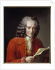 Portrait of Voltaire holding L'Annee Litteraire by Freron by Jacques Augustin Catherine Pajou
