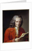 Portrait of Voltaire holding L'Annee Litteraire by Freron by Jacques Augustin Catherine Pajou