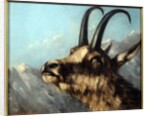 Head Of Chamois, 19th century by Gustave Courbet