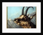 Head Of Chamois, 19th century by Gustave Courbet